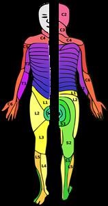 &quot;Drug Rehab Facilities Nj